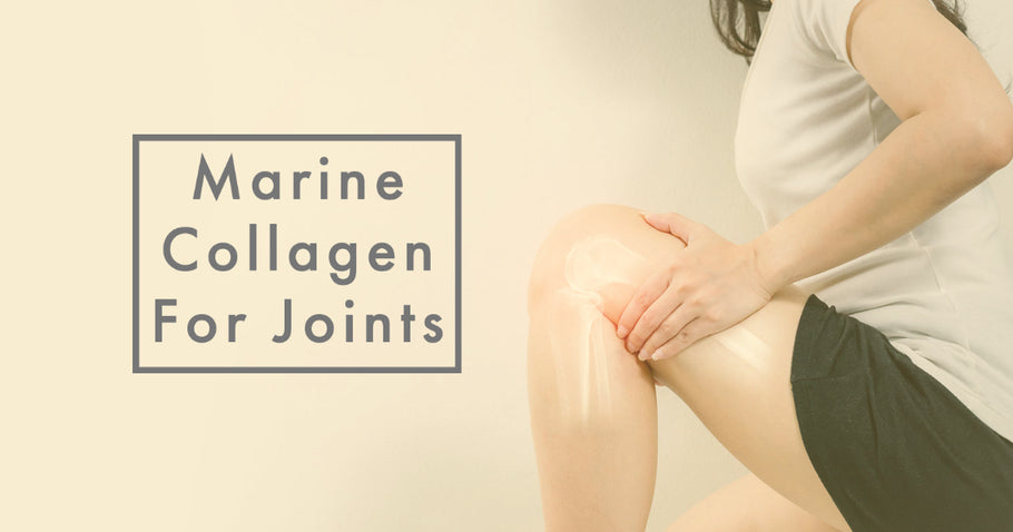 Why Marine Collagen is Great for Your Joints
