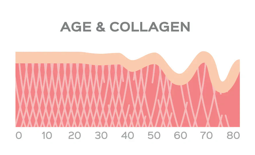Collagen Benefits